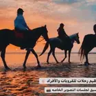خيول وجلسات على البحر