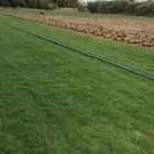 نجيل عشب طبيعي C2000 صافي مضمونه ري آبار