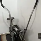 الغزال الطاير