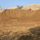 سماد غنم طبيعي