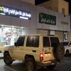 ربع 2009 حكومي