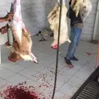 أبو ذيب للذبايح ( يتوفر ذبح وتوصيل)