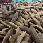 عود مروكي بيور
