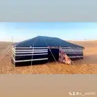 بيوت شعر جديده