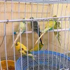 3 اجواز اخوان بعض ومتوالفه وعلى بداية انتاج
