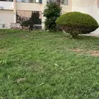 شاليه منتجع درة العروس على البحرمباشرة شاطي الذهبي