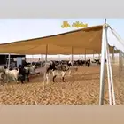 مضلة حلال - مضلي ابل تضليل _ ضلال