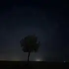 ابحث عن شقه غرفتين وصالة