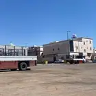 دينه طالع من المدينه وراجع ينبع