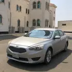 كياء كادينزا 2014