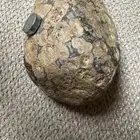 حجر نيزك ثقيل يلتصق فيه المغناطيس