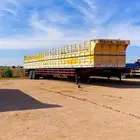 تيدر جوانب 18