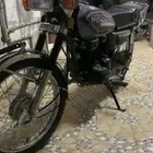 دباب