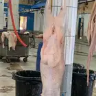 ذبايح مرابي عسير