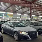 التيما نص فل 26