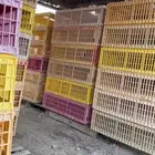 اقفاص او شبوك نقل دواجن
