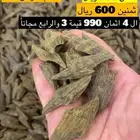 عود كمبودي بيور