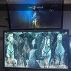 شاشه بي ان كيو 144hz