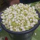 فل فرط تواصل واتس اب