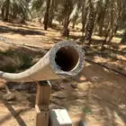 ليات