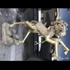 حصان تراثي قديم نحاس أنتيكة