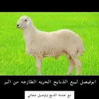 ذبايح حريه من البر مع الذبح والتوصيل مجاني