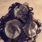 باروكه شعر او شبكيه شعر