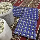 سمان وبيض سمان فري