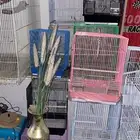 تصفيه اقفاص طيور ومستلزمات