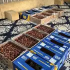 تمر صفري حبه كبير