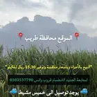 بيع حاشي لباني العشر ب 700