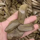 عود مروكي
