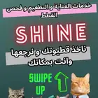 خدمات متنقلة للعناية - الحلاقة - الفحص - التطعيم لقطتك