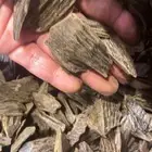 عود الكلمنتان بيور دبل سوبر