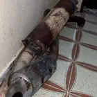 كت باك باترول ربع