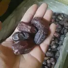تمر صقعي وخضري للبيع