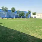 تركيب إنجيلة وزراعة اشجار مثمرة وزينه