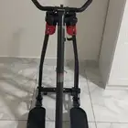 الغزال الطائر