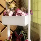 ستاند شبكة عروس وزغرطي يانشراح