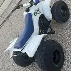 دباب رام للبيع