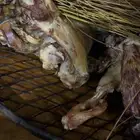 طبخ بالمرخ