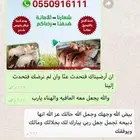 ذبايح ابو عزام خرفان وتيوس