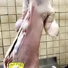مشويات شامية شواء خارجي