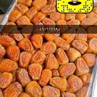 تمر بسعر الجمله جميع انواع التمور