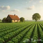 لملا ك المزارع والمزارعين