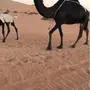 خلفه طيبه
