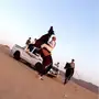 حصان شعبي شيخ 