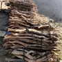 حطب للبيع