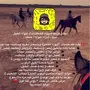 مربط صهوة الصافنات لايوى والعنايه وركوب