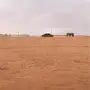مخيم للإيجار 